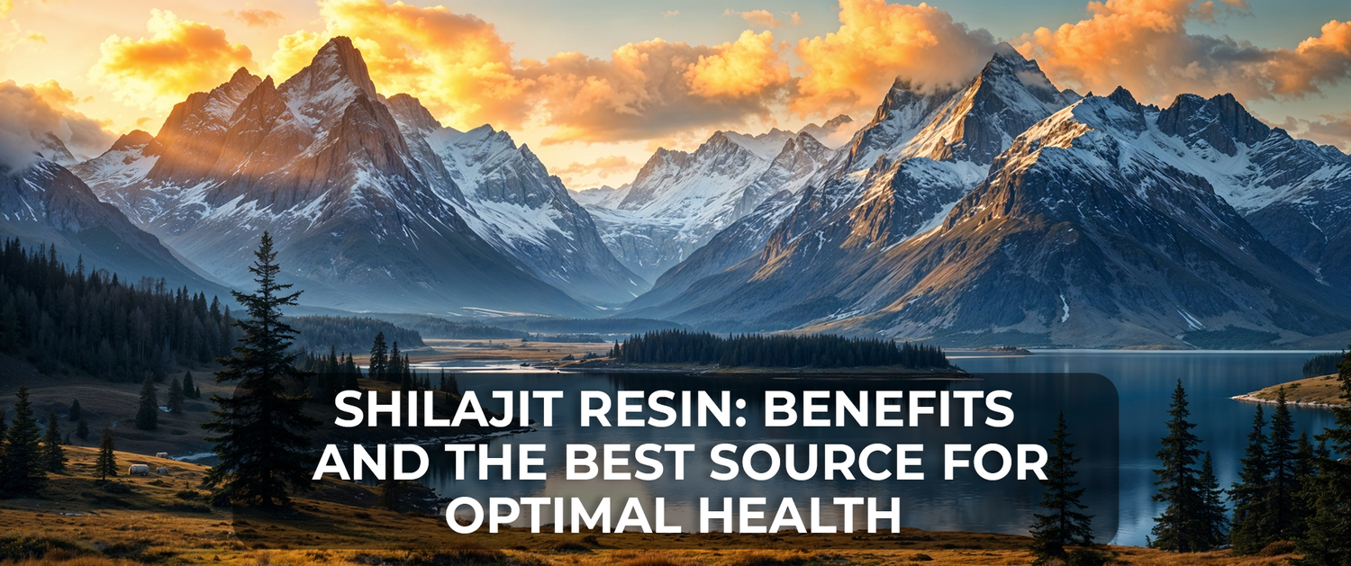 Shilajit Resin: Benefits and the Best Source for Optimal Health