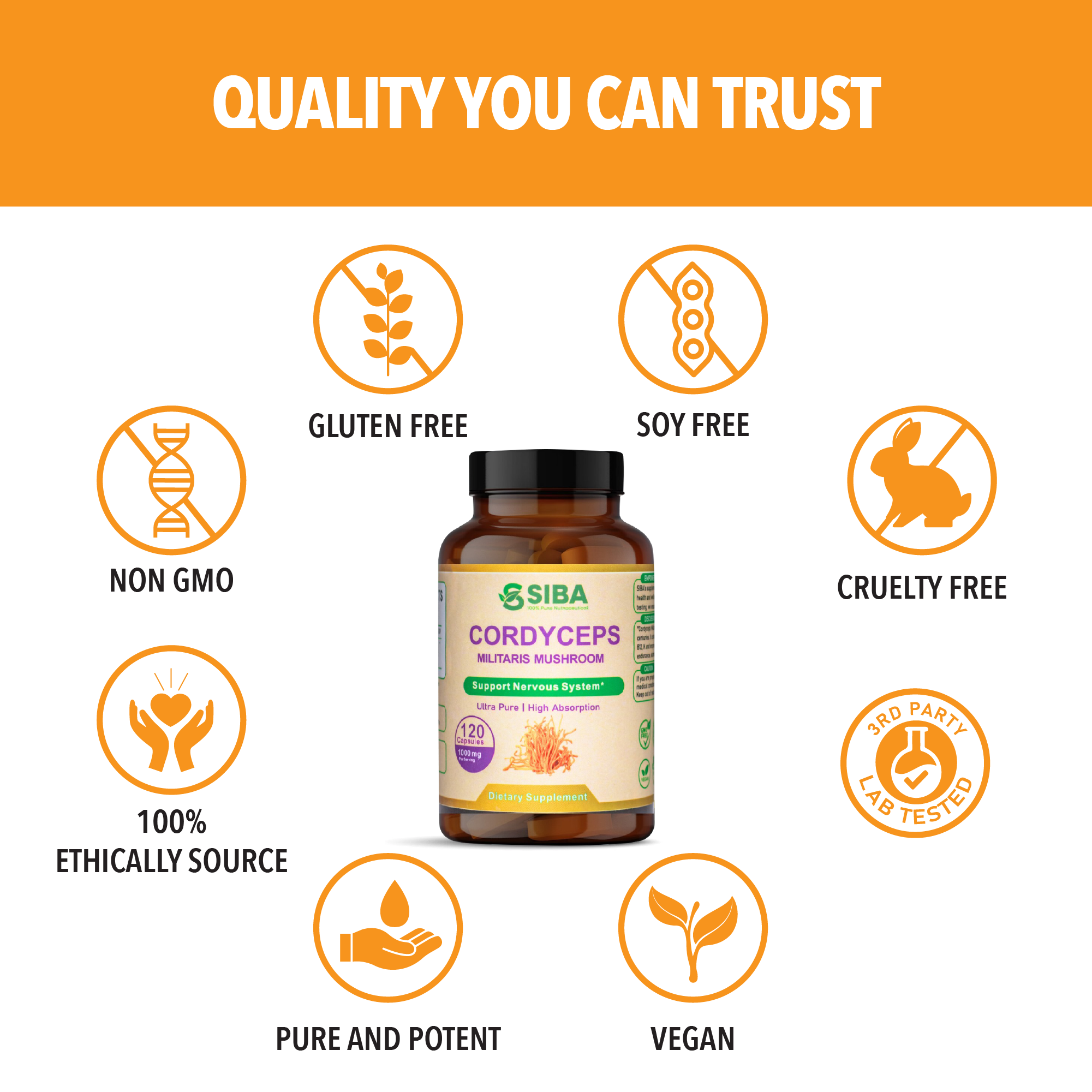 Cordyceps Concentrated Mushroom Extract