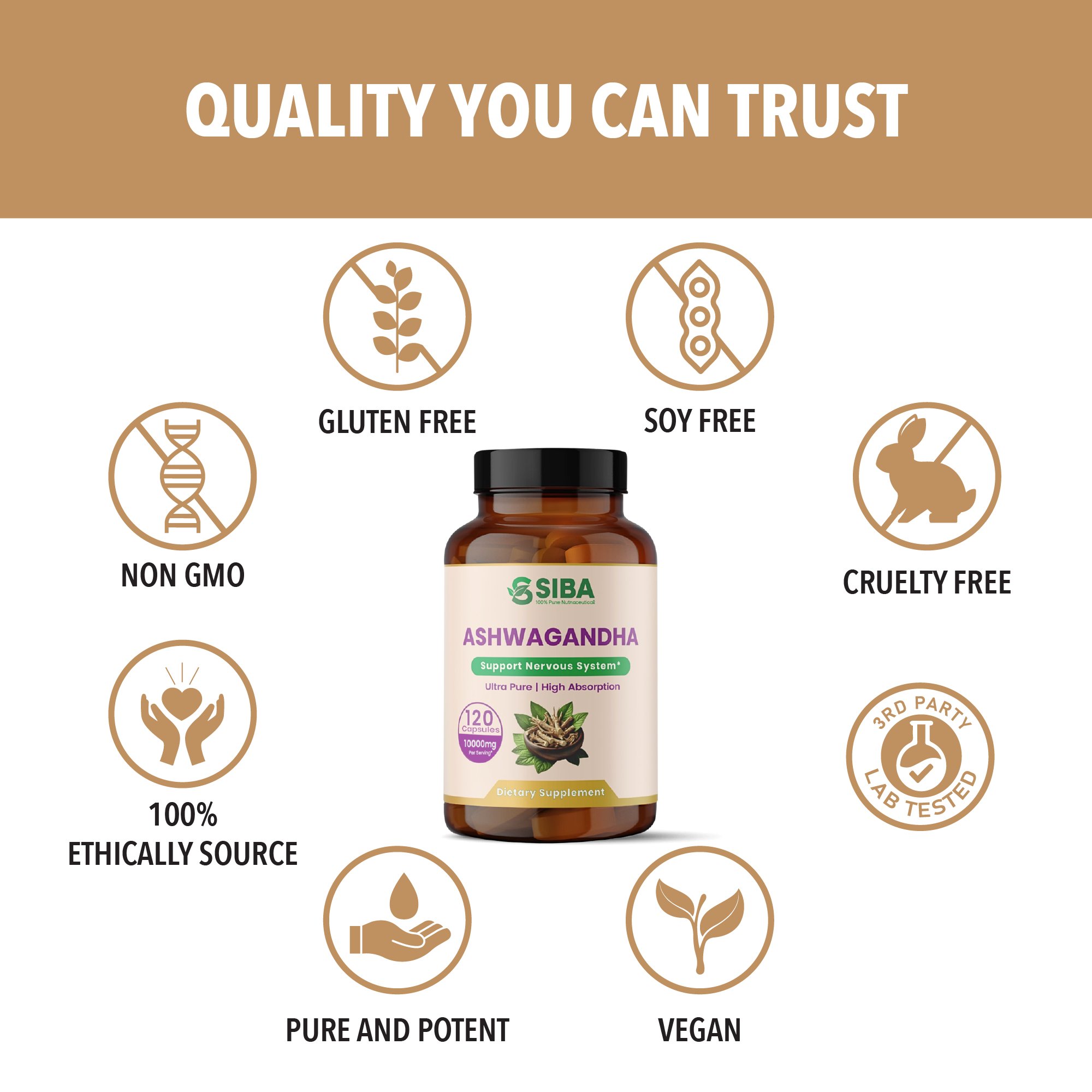 Premium Ashwagandha – Quality You Can Rely On