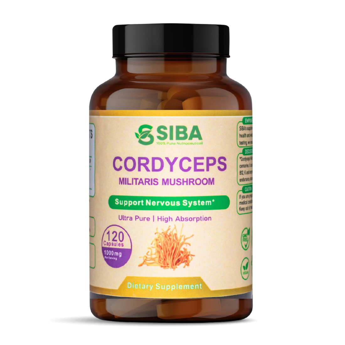 Cordyceps Concentrated Mushroom Extract