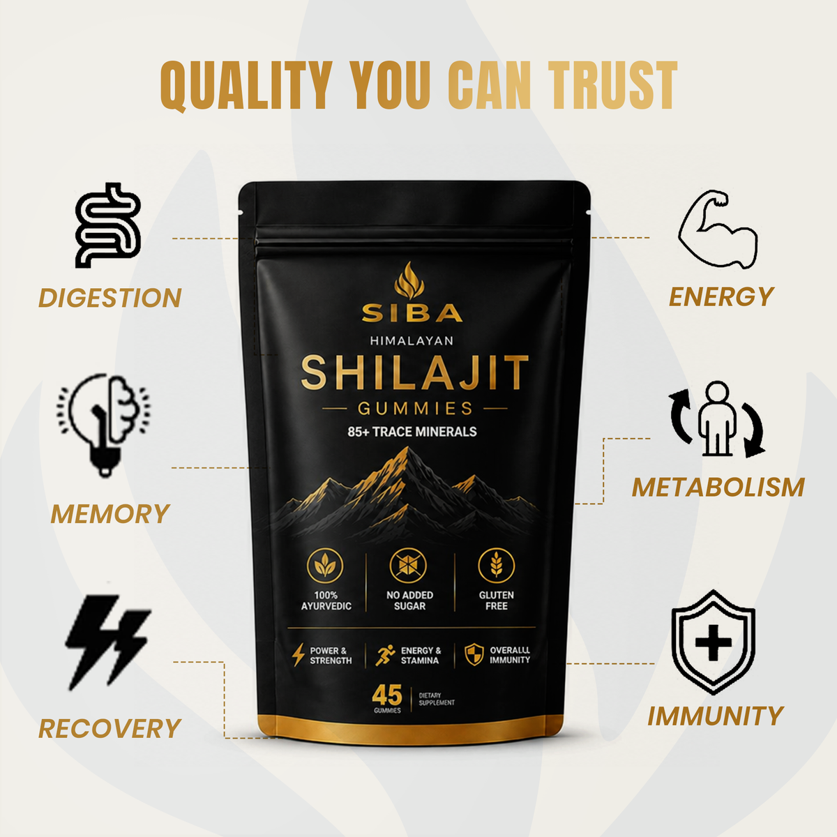 SIBA Himalayan Shilajit Gummies product information image 3