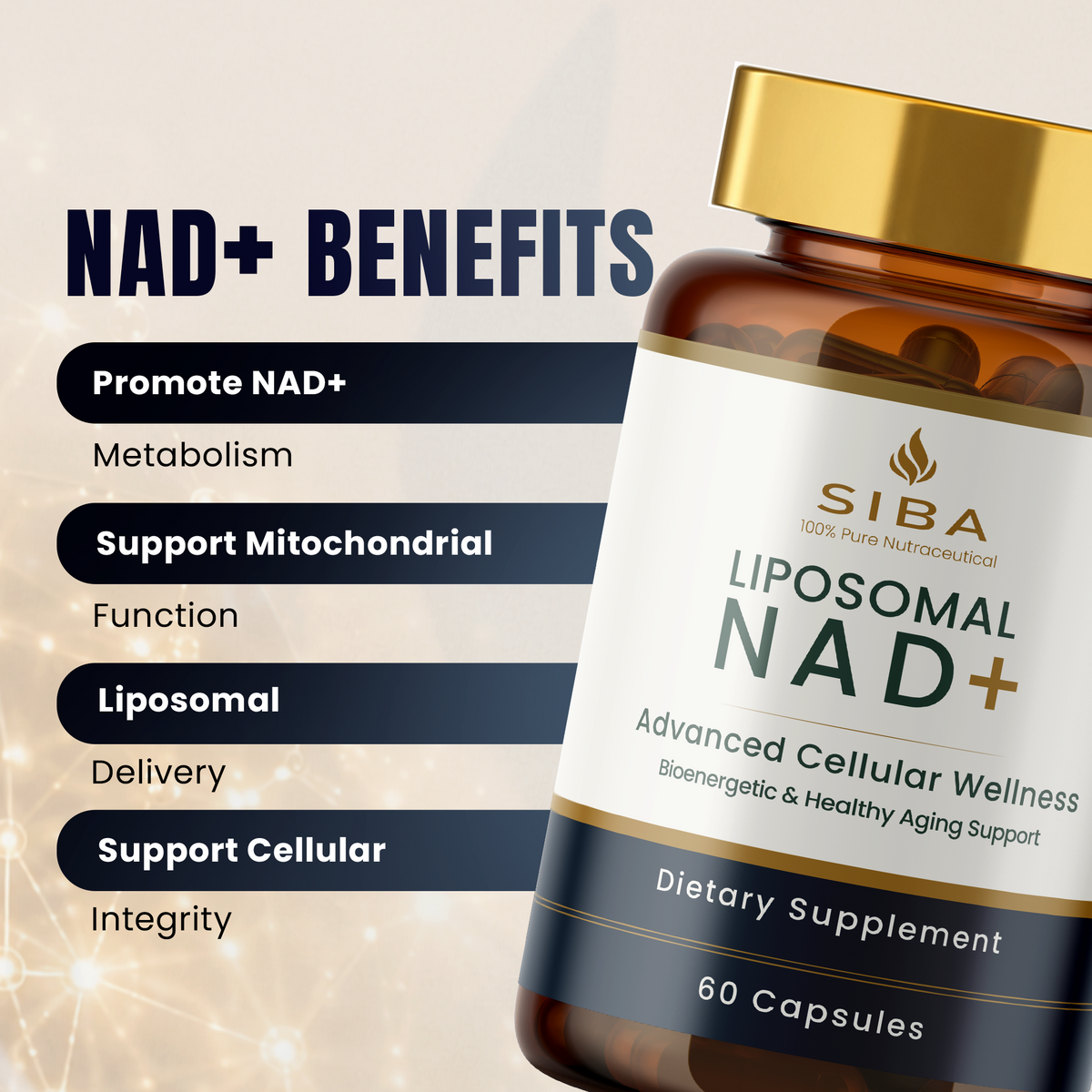 An amber supplement bottle labeled SIBA Liposomal NAD+ with a gold cap and white label, shown beside a text panel listing NAD+ benefits such as metabolism, mitochondrial support, and cellular integrity.