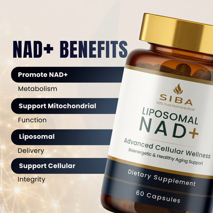 An amber supplement bottle labeled SIBA Liposomal NAD+ with a gold cap and white label, shown beside a text panel listing NAD+ benefits such as metabolism, mitochondrial support, and cellular integrity.