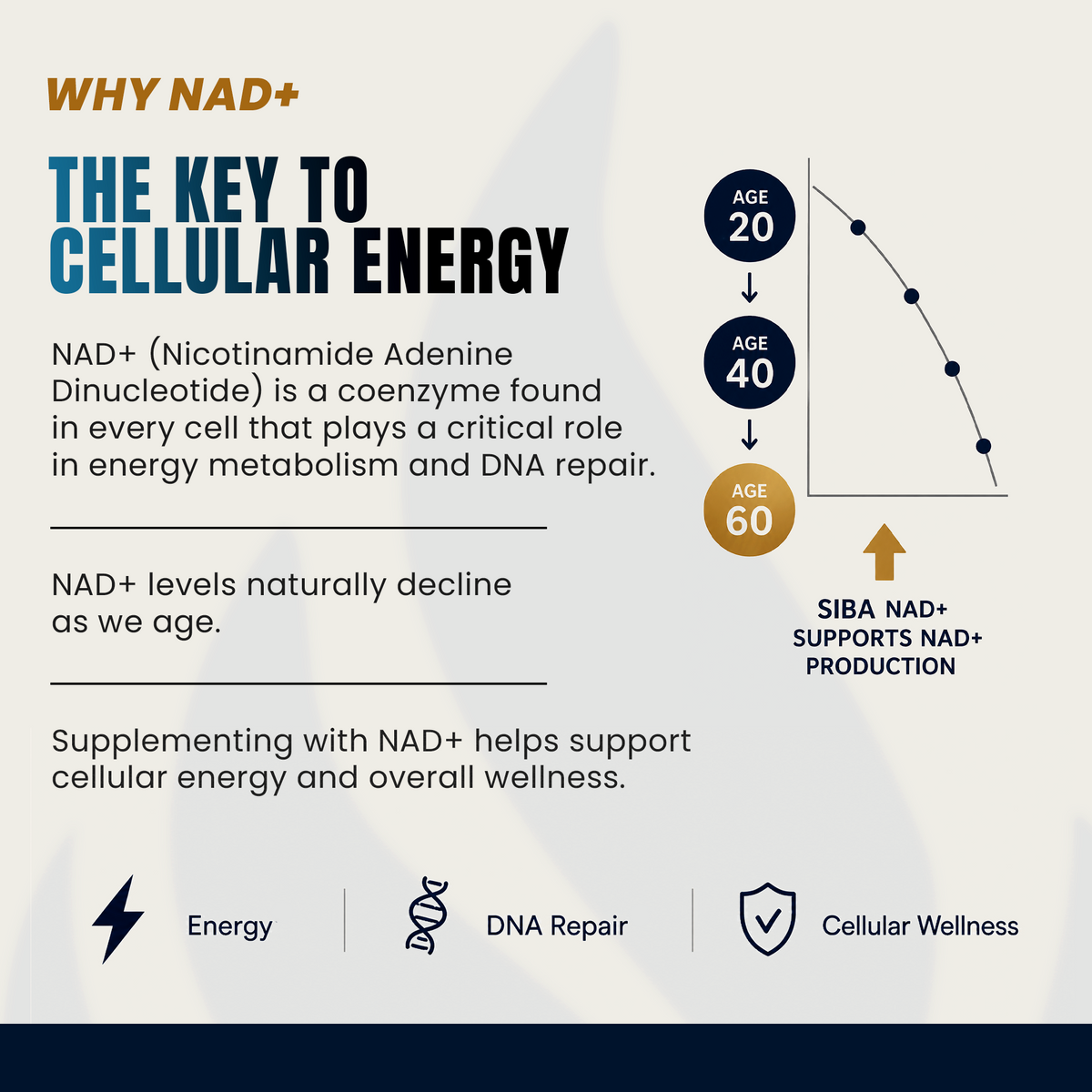 An infographic titled 'WHY NAD+ THE KEY TO CELLULAR ENERGY' explains the importance of NAD+ for energy metabolism and DNA repair, showing a graph of age-related NAD+ decline and icons representing energy, DNA repair, and cellular wellness.
