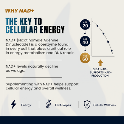 An infographic titled 'WHY NAD+ THE KEY TO CELLULAR ENERGY' explains the importance of NAD+ for energy metabolism and DNA repair, showing a graph of age-related NAD+ decline and icons representing energy, DNA repair, and cellular wellness.