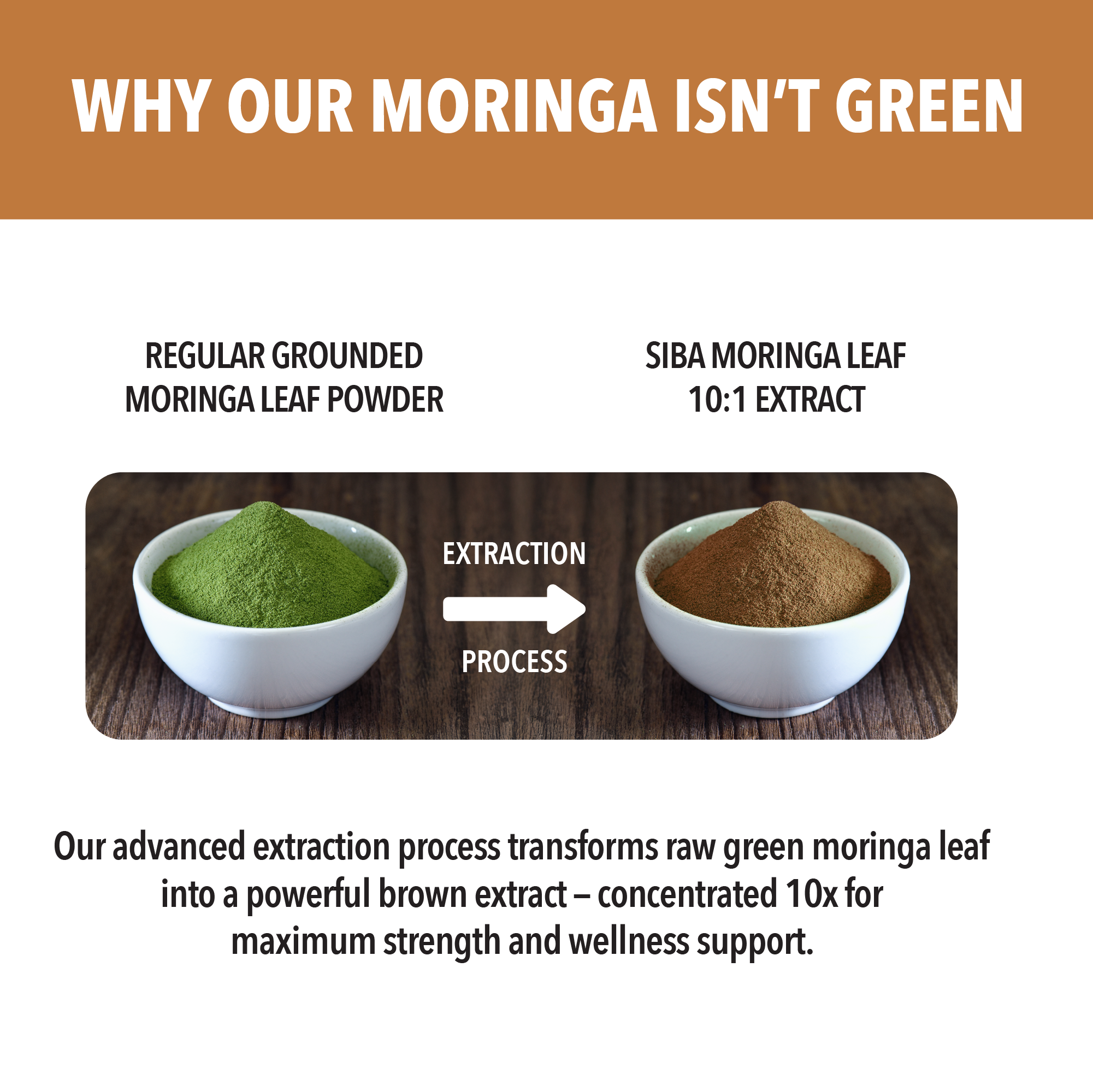The Truth Behind Our Moringa’s Color