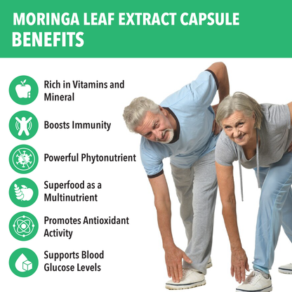 Top Benefits of Moringa Leaf Extract Capsules