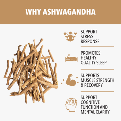 Why Ashwagandha is Essential for Daily Health