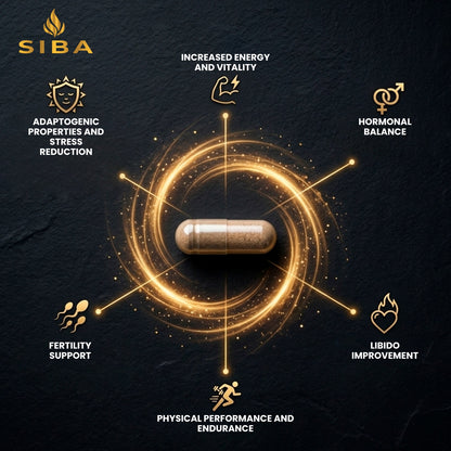 SIBA supplement capsule with health benefits on a dark background