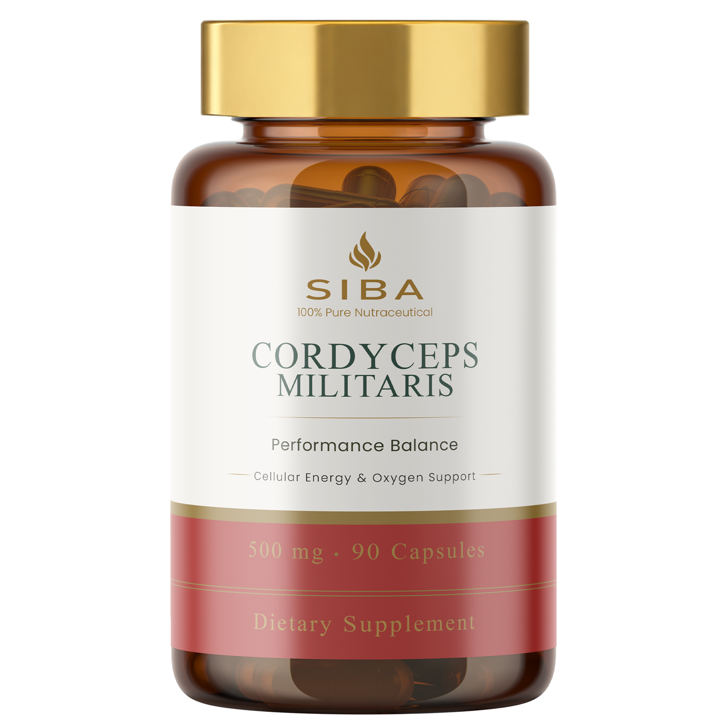 Supplement bottle labeled 'Cordyceps Militaris' by Siba on a white background