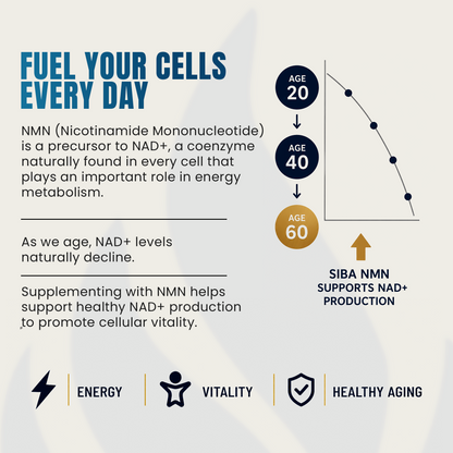 An informational infographic titled 'FUEL YOUR CELLS EVERY DAY' about NMN (Nicotinamide Mononucleotide). It features text explaining NMN's role in energy metabolism and a graph showing a decline in NAD+ levels with age (20, 40, 60).