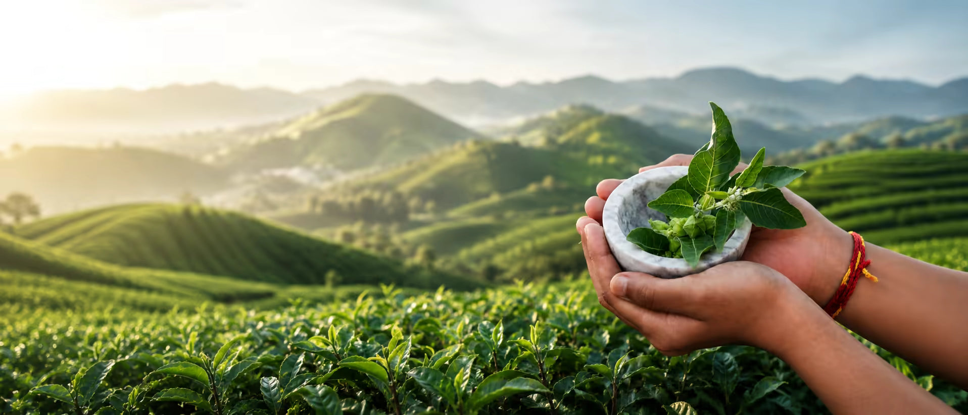 Active wellness routine with natural ingredients
