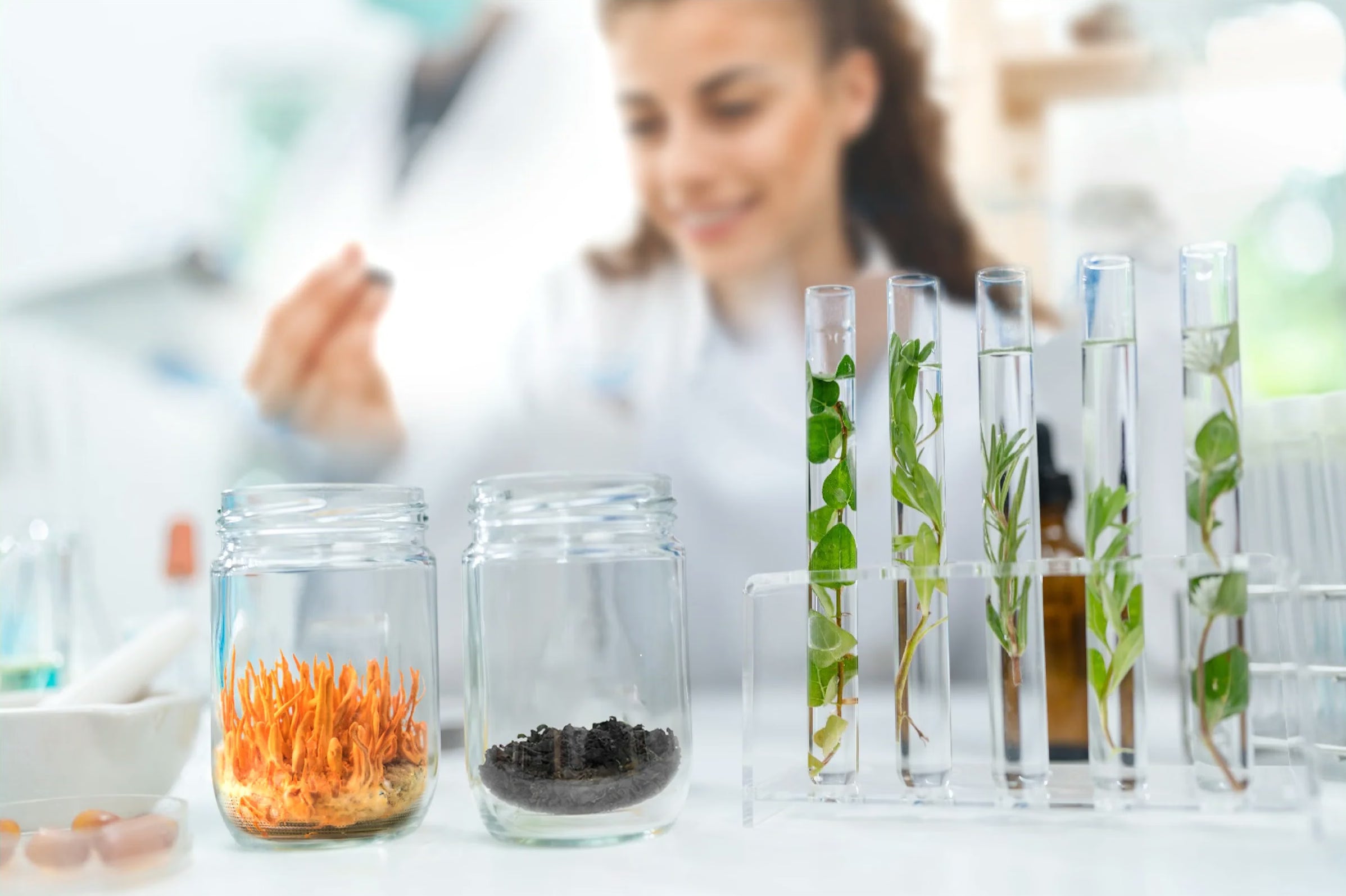 Botanical ingredients in a clean research lab